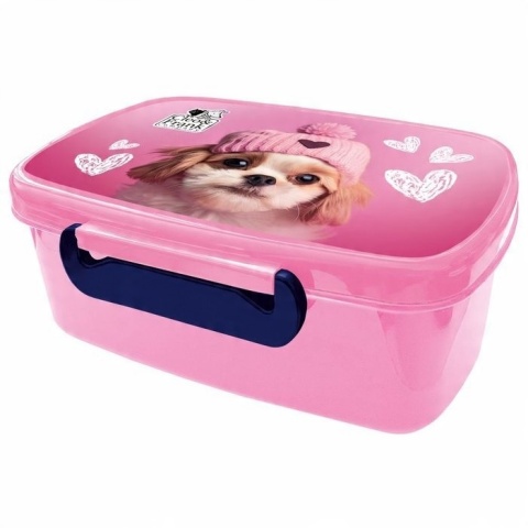 Śniadaniówka pudełko na kanapki Piesek pies Cleo&Frank 42