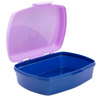 Śniadaniówka LUNCH BOX chlebak pojemnik na kanapku Wish Życzenie Disney