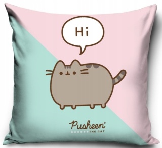 Poszewka na poduszkę jasiek kot PUSHEEN 40x40