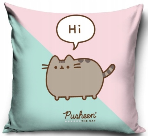 Poszewka na poduszkę jasiek kot PUSHEEN 40x40