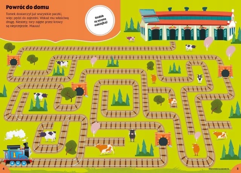 TOMEK I PRZYJACIELE 100 naklejek książka z zadaniami kolorowanka