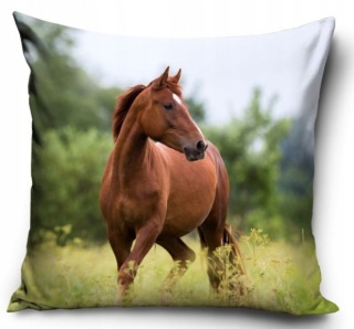 KOŃ KONIK poszewka na poduszkę jasiek 40x40 welurowa VELVET