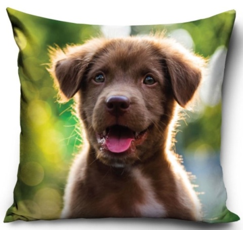 PIES PIESEK SZCZENIAK poszewka na poduszkę jasiek 40x40 welurowa VELVET