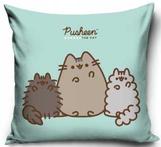 PUSHEEN poszewka na poduszkę jasiek kotki kot 40x40 welurowa miętowa VELVET