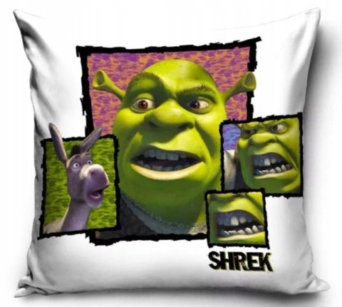 Shrek ogr poszewka na poduszkę 40x40 welurowa