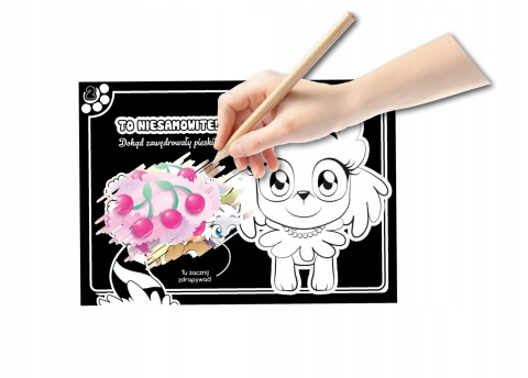 Wydrapywanka + rysik dwustronne zdrapki z kolorowanką PIESKI chi chi love
