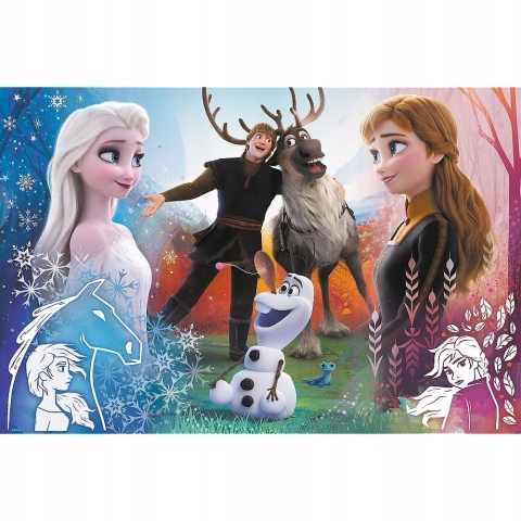 KRAINA LODU FROZEN Puzzle Maxi 60X40 cm 300 EL TREFL
