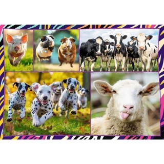 Puzzle 4x250 Zabawne zwierzaki TREFL 4w1 4 x 250 el 33,9x23,9 cm 13313