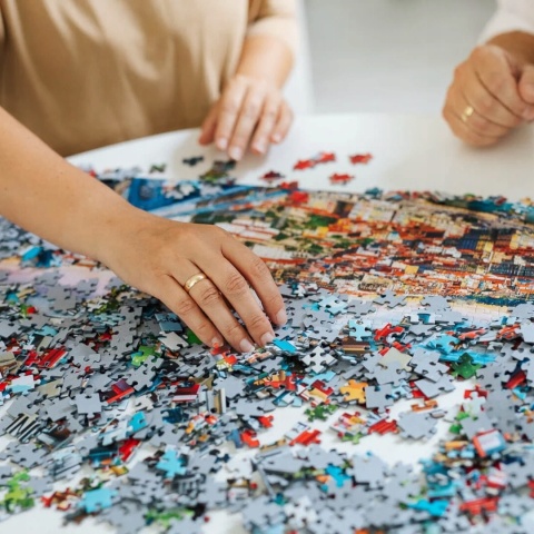 Puzzle Trefl premium Jak wytresować smoka 48x68,3 cm 1000 EL 10959
