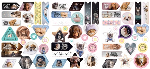 Naklejki transparentne do dekorowania laptopa telefonu pamiętnika KOT PIES