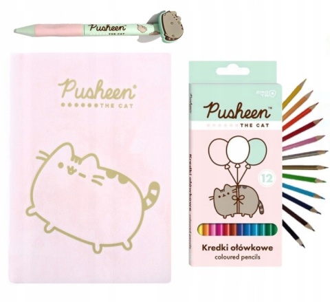 Notatnik pamiętnik pluszowy kredki długopis wymazywalny kotek kot Pusheen