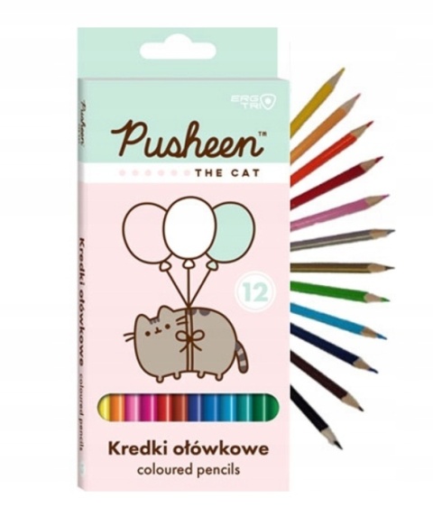 Notatnik pamiętnik pluszowy kredki długopis wymazywalny kotek kot Pusheen