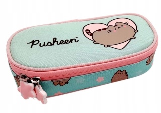 Piórnik saszetka z przegródkami i klapką kot Pusheen mint