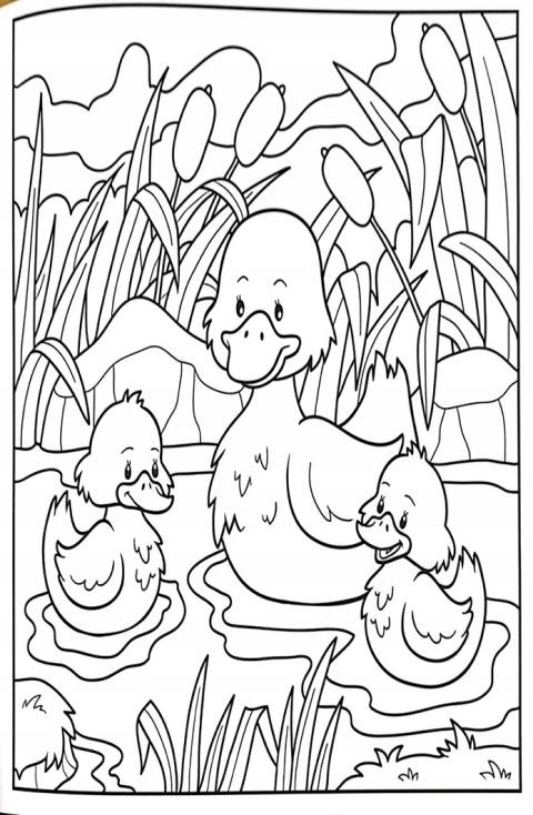 Kolorowanka zwierzęta dzikie i leśne 21x30