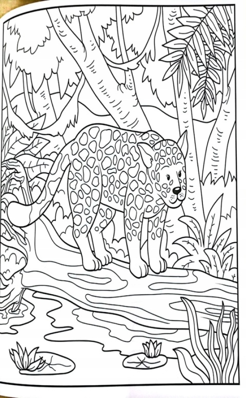 Kolorowanka zwierzęta dzikie i leśne 21x30