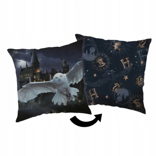 Harry Potter przyjaciele poduszka dwustronna jasiek 40X40 cm