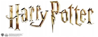 Harry Potter przyjaciele poduszka dwustronna jasiek 40X40 cm