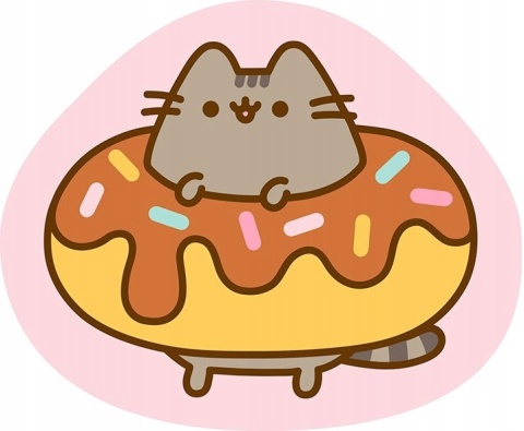 Kot kotek PUSHEEN donut poduszka kształtka velvet 40x35 cm