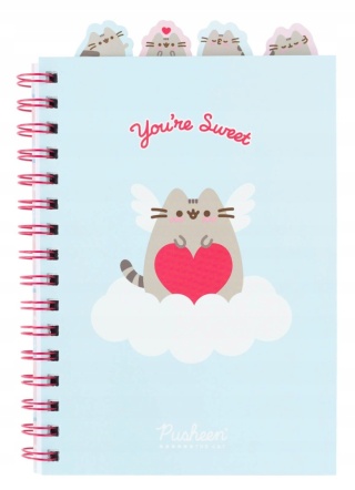 Notatnik pamiętnik kołonotatnik z zakładkami kot Pusheen chmurka słoneczko