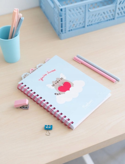 Notatnik pamiętnik kołonotatnik z zakładkami kot Pusheen chmurka słoneczko