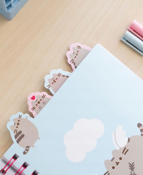 Notatnik pamiętnik kołonotatnik z zakładkami kot Pusheen chmurka słoneczko