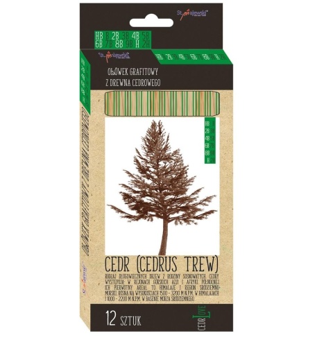 Ołówek grafitowy z drewna cedrowego St. Majewski zestaw 12 szt