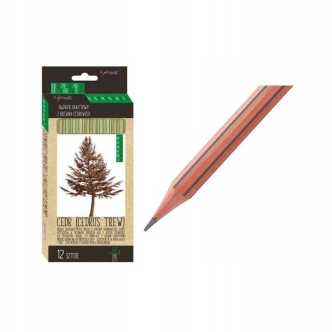 Ołówek grafitowy z drewna cedrowego St. Majewski zestaw 12 szt