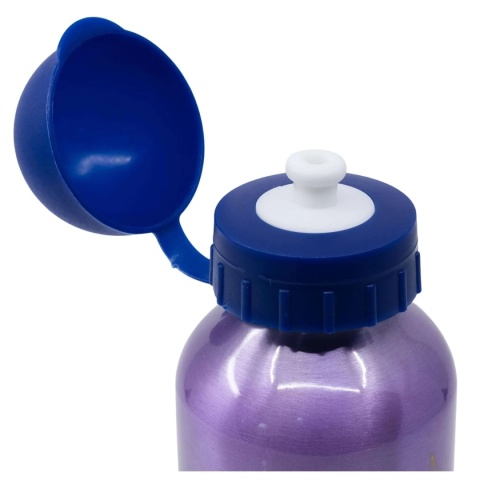 Bidon aluminiowy z ustnikiem na wodę KRAINA LODU FROZEN II 400ml