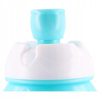 Bidon butelka FROZEN II KRAINA LODU 400ML