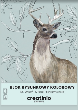 Blok rysunkowy kolorowy A4 10 kartek 10 kolorów Top-2000