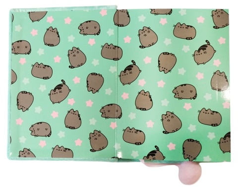 Notatnik pamiętnik pluszowy pastelowy seledyn kot serduszko Pusheen