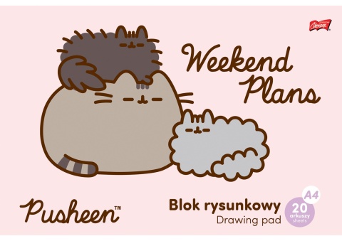 PUSHEEN KOTEK 3 kotki blok rysunkowy biały A4 20 kartek