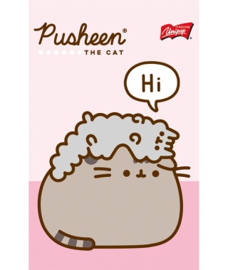 PUSHEEN kotek notes blok notatnik brudnopis w kratkę A6 50 kartek