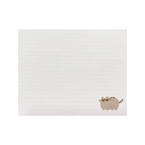 Pamiętnik na spirali z zamknięciem na gumkę notes kot kotek Pusheen
