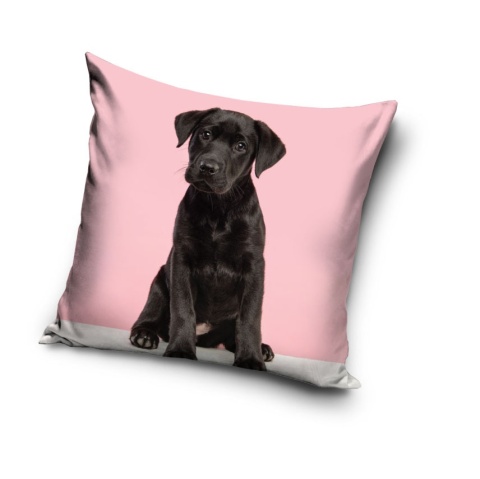 Poszewka na poduszkę jasiek Pies 40x40 velvet