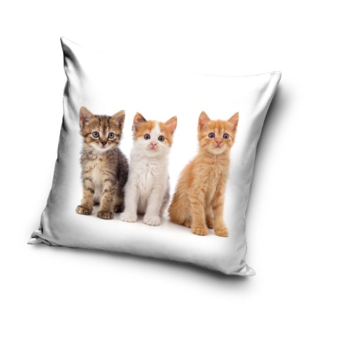 Poszewka na poduszkę jasiek Kotki Kot 40x40 velvet