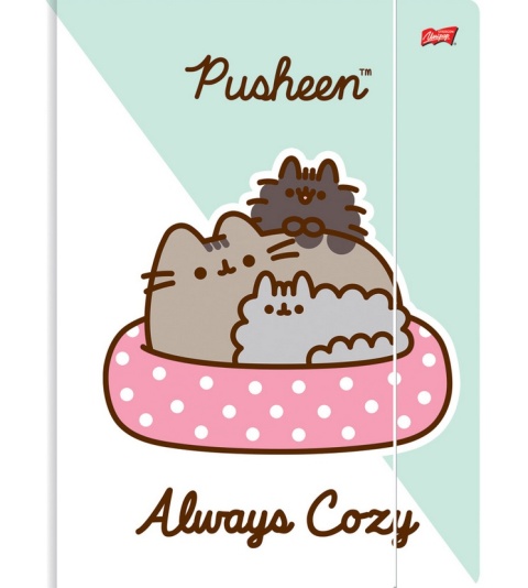 Teczka z gumką A4 na dokumenty rysunki kot kotek PUSHEEN