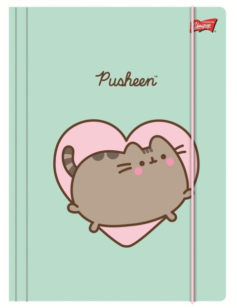 Teczka z gumką A4 na dokumenty rysunki mint kot kotek Pusheen
