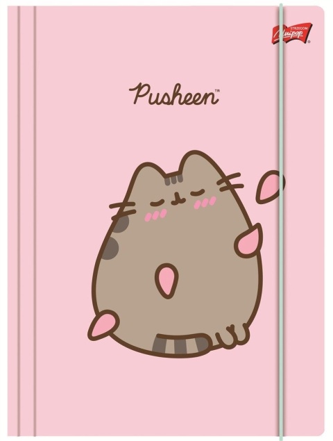 Teczka z gumką A4 na dokumenty rysunkowa kot kotek Pusheen pink