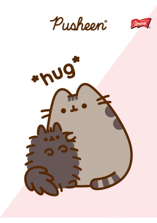 Zeszyt A5 kot PUSHEEN 3 kotki 32 k trzy linia kolorowa 1 szt