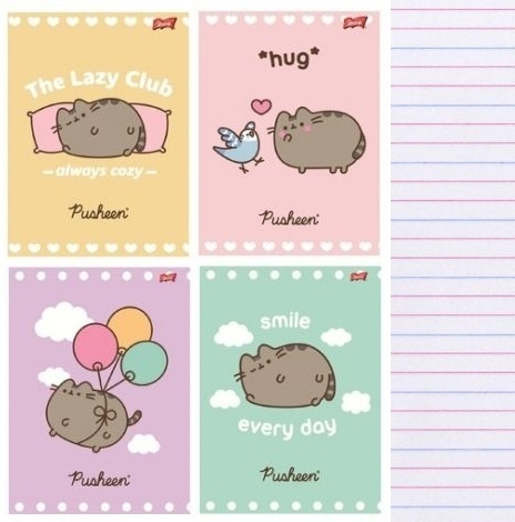 Zeszyt A5 kot PUSHEEN 32 k 3 trzy linia kolorowa kolorowa komplet 4 szt