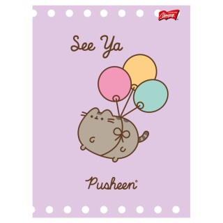 Zeszyt A5 kot PUSHEEN baloniki 32 k 3 trzy linia kolorowa kolorowa 1 szt