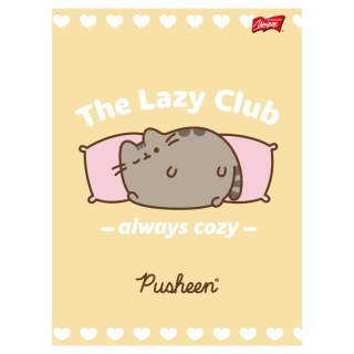 Zeszyt A5 kot PUSHEEN 32 k 3 trzy linia kolorowa kolorowa 1 szt