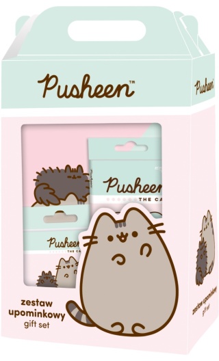 Zestaw plastyczny wyprawka kredki farby plastelina flamastry kotek Pusheen