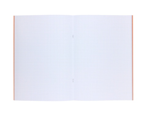 Zeszyt A4 do nauki pisania 32k 90g w kratkę kratka BB kot kotek BEBE kids Interdruk