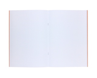 Zeszyt do nauki pisania A4 32k 90g w kratkę kratka boys BB lis BEBE be wild Interdruk