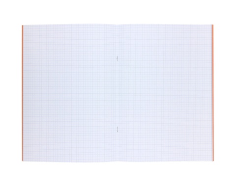 Zeszyt do nauki pisania A4 32k 90g w kratkę kratka boys BB lis BEBE be wild Interdruk