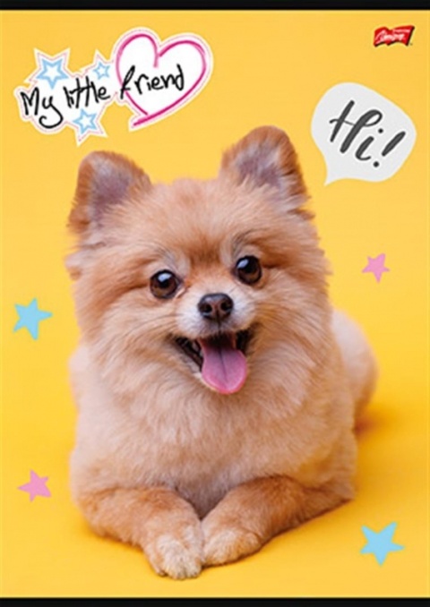 Zeszyt A4 kratka w kratke do nauki pisania 32 k z marginesem piesek kotek pies kot 2 szt