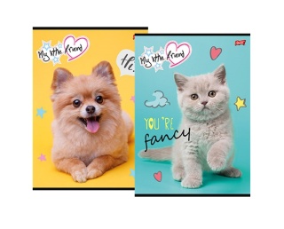 Zeszyt A4 kratka w kratke do nauki pisania 32 k z marginesem piesek kotek pies kot 2 szt