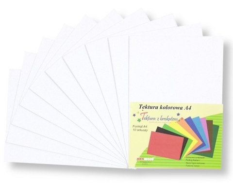 Tektura gładka brokatowa biała A4 10 arkuszy